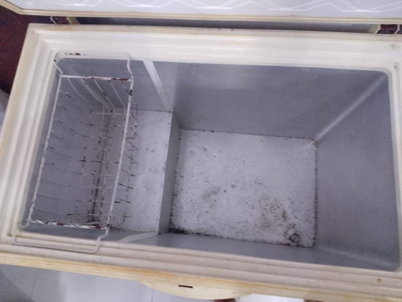 waves freezer 4