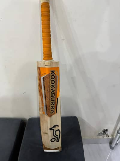 Hard Ball Bat – English Willow