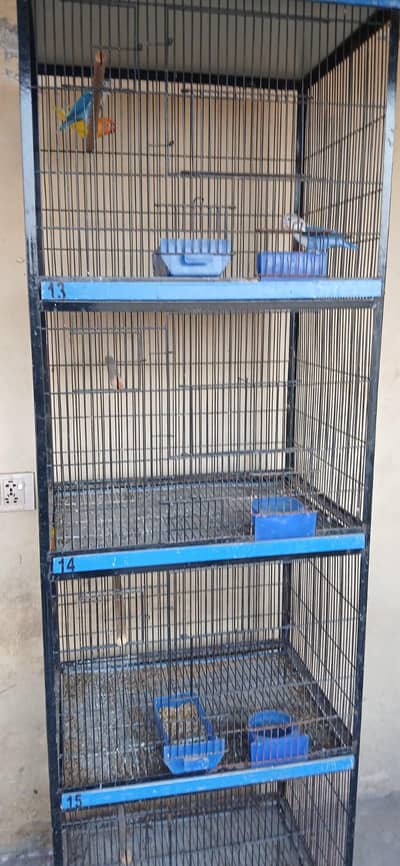 3 cages