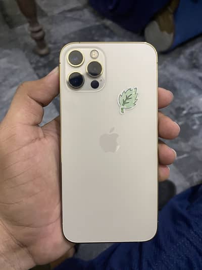 Apple iPhone 12 Pro