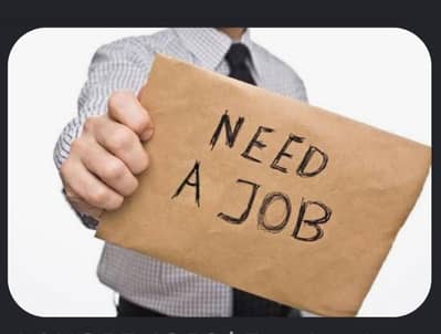 Need Job