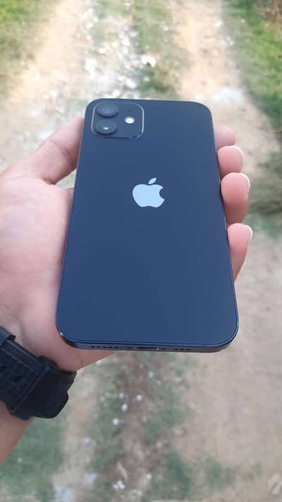 Apple iPhone 12