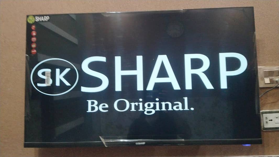 shark 1