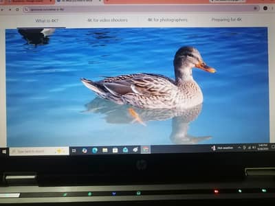 HP EliteBook 8440p