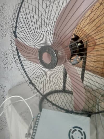 fan .