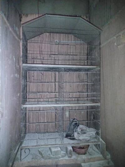 i m saleing cage