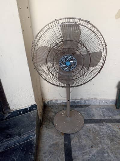 for sale only