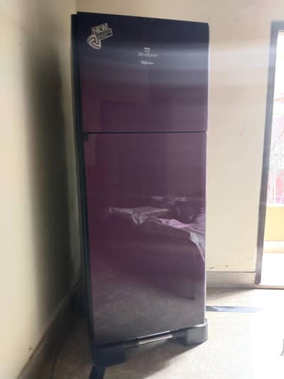 Glass Refrigerator for Sale