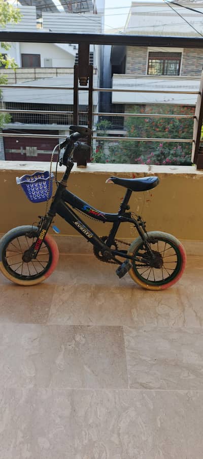 Elegent Imported Cycle