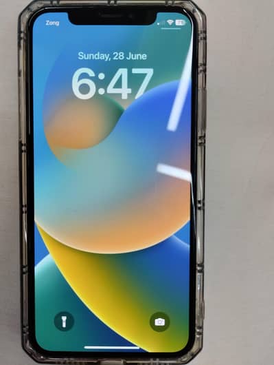 Apple iPhone X