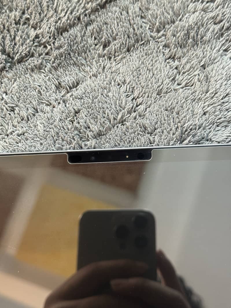 IPAD PRO M4 (256) 15