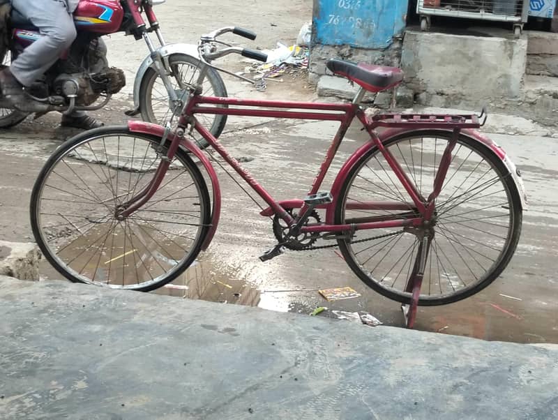 baba cycle 2