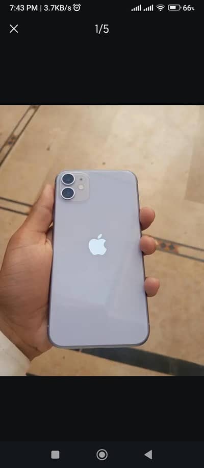 Apple iPhone 11