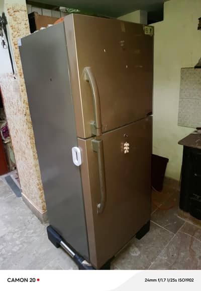 hair fridge