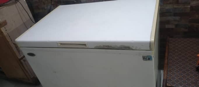 frezer single door