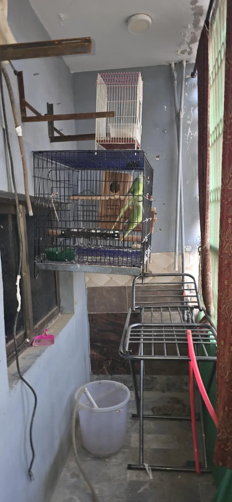 Pahari Tottay — photo 4