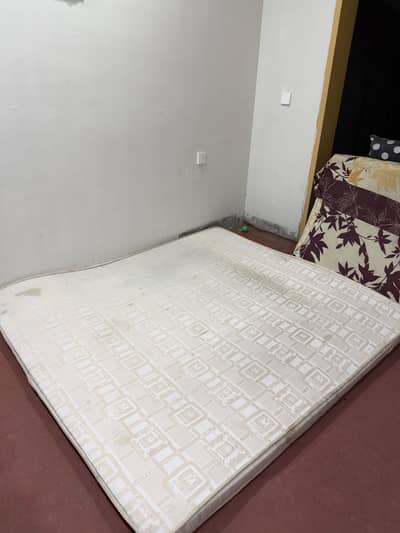 Master Molty Foam Ortho, used but good condition