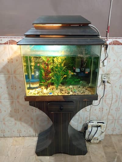 Aquarium and fishes complete setup for sale only Rs. 15000/-