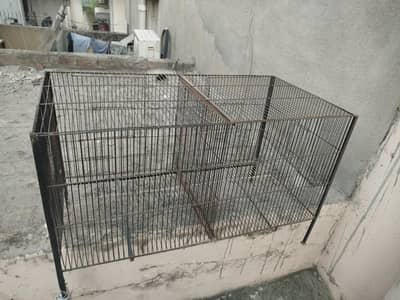 budgie cage
