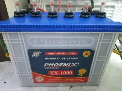 Phoenix 1000 TALL TUBULAR BATTERY 110 ampere