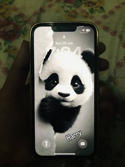 Apple iPhone 13 Pro