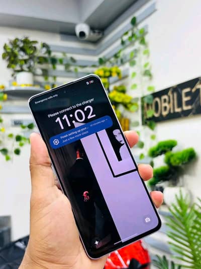 Oppo Reno13 F 8Gb RAM 128 GB memory PTA approved. 0324=8193=531