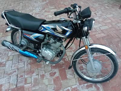 open latter 2025 model