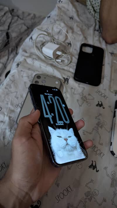Apple iPhone 13 Pro Max