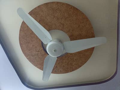 Celling Fan White color perfect working