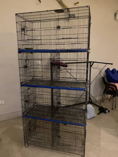 Love bird cage