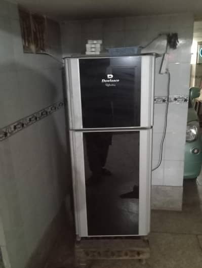 dawalanc medium sized