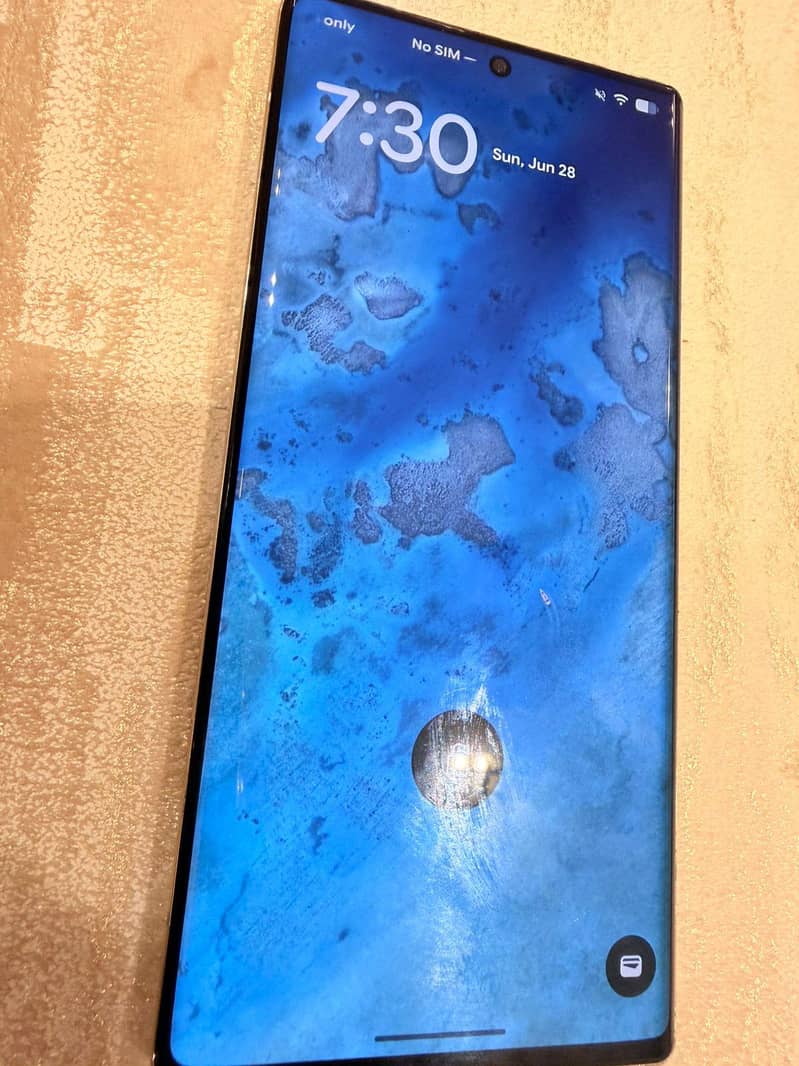 Google Pixel 6 Pro Official PTA 4