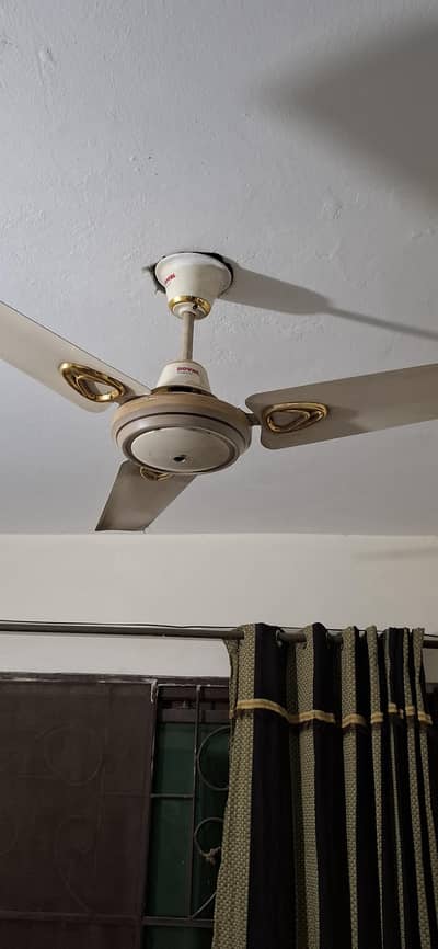 4 ROYAL Fan for sale