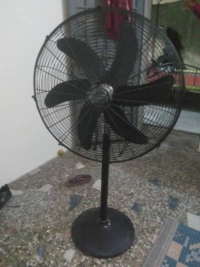 newfan