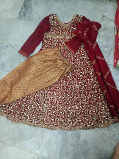 Maxi ( maroon)