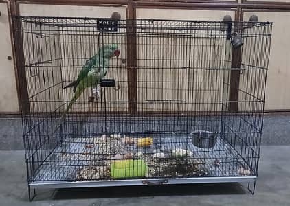 Birds Cage for Sale