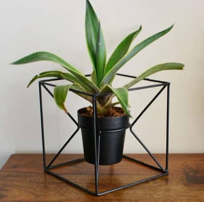 Planter / plant pots / gamla / plant pots / plants pot / gamle