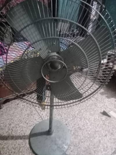 03059945616