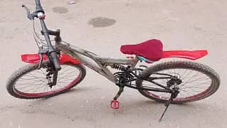 Cycle full size Original condition 0