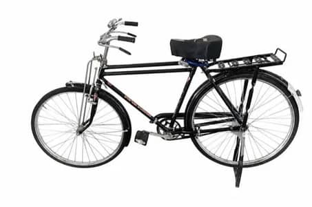 Sohrab Baba cycle 22