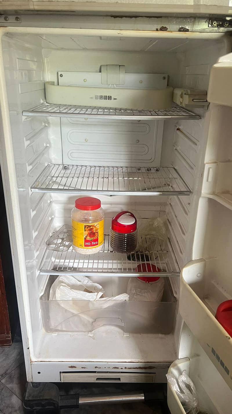 Freezer 4