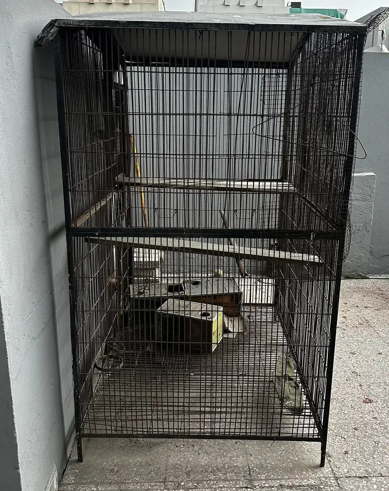 Double portion iron cage — photo 2