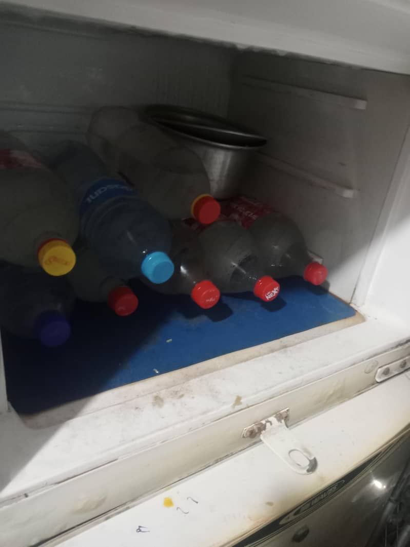waves medium freezer 2