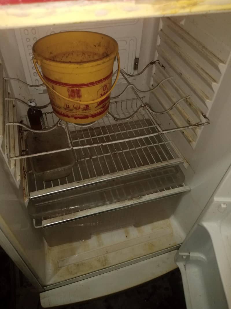waves medium freezer 4