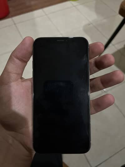 Apple iPhone X