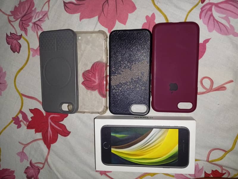 Apple iPhone SE 6