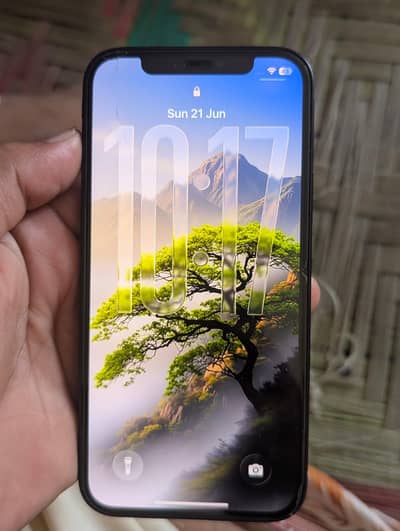 Apple iPhone 12
