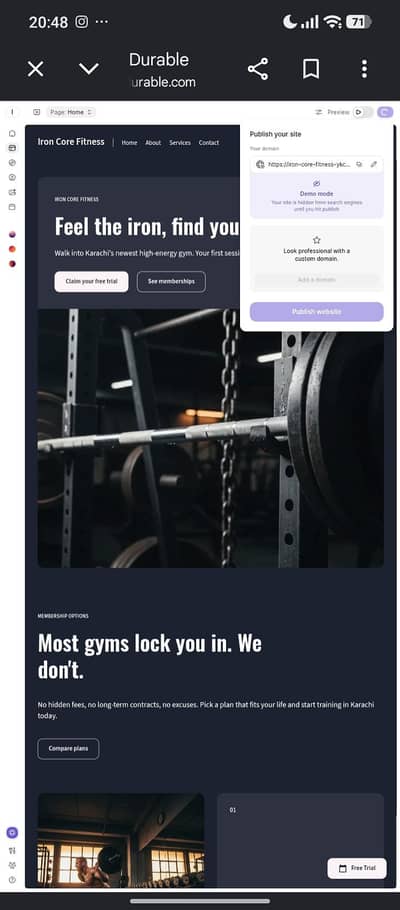Website Design for Small Businesses & Gyms in Low Budget