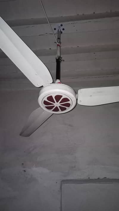 celling fan in working condition