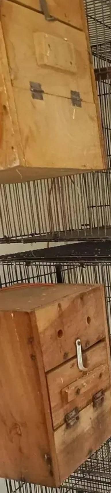 Bird Egg laying Box
